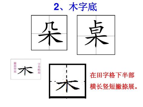 木部的字|木字旁